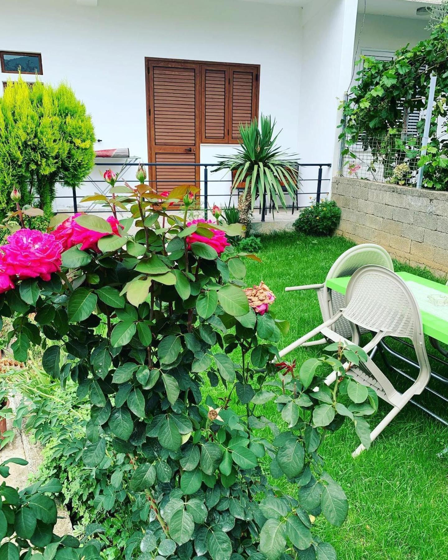 Pogradec Lake Apartments Apartment